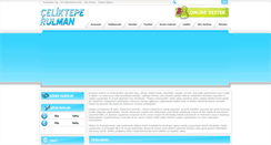 Desktop Screenshot of celikteperulman.com